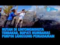 Download Lagu HUTAN DI LINTONGNIHUTA TERBAKAR, BUPATI HUMBAHAS PIMPIN LANGSUNG PEMADAMAN