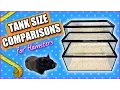 Tank Size Comparisons for Hamsters