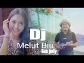 Download Lagu DJ Melut Biu - Gus Jody