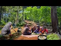 Download Lagu Masak nasi liwet di kebun, sambal, ikan asin lalapan daun singkong | panen sayuran Hidup di Desa
