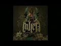 Calle 13 - Tango del Pecado (Cover Audio Video) ft. Bajofondo Tango Club, Panasuyo