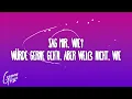 AYLIVA - Wie?