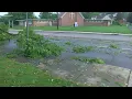 Downed power lines branches in the Toledo area