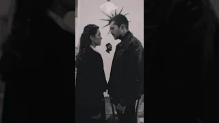 يا سلام لو كل عاشق عاش غرامنا 