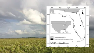 High Density and Survival of the Florida Spotted Skunk in South-central Florida