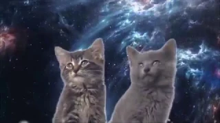 space cat magic fly version 10 min 