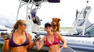 We were NOT expecting THIS in Ocean City // Fishing, Clamming, Wild Horses