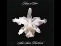 Kings of Leon - Bucket