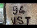 Tips for cattle branding