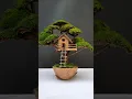 Download Lagu Easy Coconut Shell Art. Coconut Shell Craft Ideas🥥 🥥 🥥 #shorts #coconutshellcraft #diy #ideas #craft