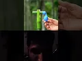 Download Lagu DIY Bamboo Creations with New Clourballoone Slingshots #Bamboo #Slingshots#Diy #Bambooart