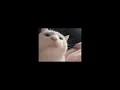 Download Lagu Chips (remix)- (sped up) Donya,Talk Down