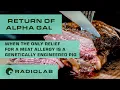 Download Lagu Return of Alpha Gal | Radiolab Podcast