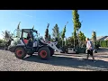 Download Lagu Exciting Load of BIG Trees! 🌳🌲🌳 // Garden Answer