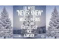 Lil Wyte - Never Knew
