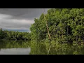 Download Lagu Balikpapan Weekend Trip - Teluk Balikpapan Rasa Sungai Amazon