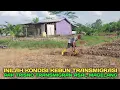 Download Lagu Suasana dilahan transmigran asal magelang begini kondisinya transmigrasi sepunggur