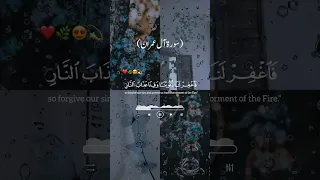 الذين يقولون ربنا إننا آمنا فاغفر لنا ذنوبنا آل عمران 16 Gaza القاری ماهر المعيقلي Viral Shorts 