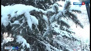 «Вести Омск», дневной эфир от 16 декабря 2021 года