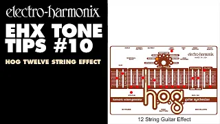 Electro Harmonix Tone Tips 10 The HOG Twelve String Effect 