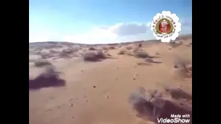 سيفك و مقرونك وبيا شر ق 