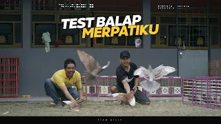 Download TEST BALAP TERBANG MERPATI PIYIK FEAT MERPATIKU | SIAPA PEMENANGNYA  MP3