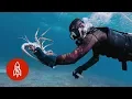 Protecting the Future of Rock Lobster Fishing