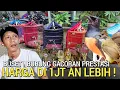 Download Lagu BURUNG ! GACOR DOR TINGGAL GANTANGAN BEBAS PILIH MURAI BATU CUCAK JENGGOT GACOR JAKARTA BARAT 