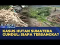Lagu Kasus Hutan Sumatera Gundul, Siapa Tersangka? | KOMPAS PETANG
