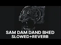 Download Lagu SAM DAM DAND BHED (SLOWED+REVERB) ~ SARKAR  [Full Video Song]