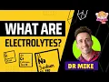 What are electrolytes