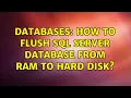 Databases How to flush SQL Server database from RAM to hard disk