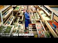 Download Lagu Why 99% Of Smithsonian's Specimens Are Hidden In High-Security | Big Business | Business Insider