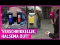 Download Lagu Bergen afval op straat, maar prullenbakken moeten weg