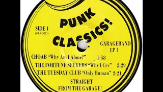 v a punk classics ep vol 1 garage rock 60s 