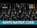 The Matrix White Binary Falling Rain Code Screensaver 5 Hours Screensaver Live Wallpaper 4K