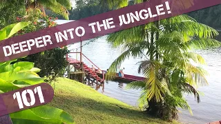 Logging, Gold / Aluminium Mining and the impact on People and Environment in the Rainforest. Ep101