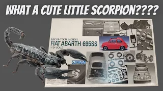its called a what gunze sangyo high tech model abarth 695ss