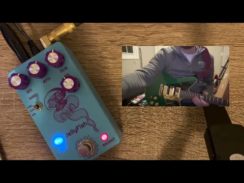 Drunk Beaver Jellyfish analog chorus pedal demo video by Guitars for Idiots - YouTube thumbnail