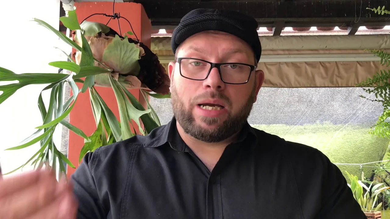 COMO USAR SEACROP NAS ORQUÍDEAS (FÉRIAS NO CANAL, VÍDEO DE 2018)