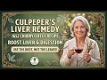 FREE Recipe Bitter Chicory Root Tea for Slow Digestion