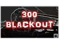 300 Blackout Hornady 150gr Interlock Hunting