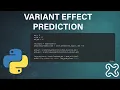 Variant Effect Prediction in Python with ESM-2