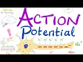 Action Potential Most COMPREHENSIVE Explanation Nerve Physiology