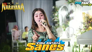 Download Sanes - Vidia Antavia - Narayana Musik - AR Production MP3