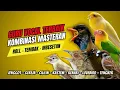 Download Lagu Langsung Moncer Menyala !!! Masteran Kombinasi Tembakan Kasar Untuk Semua Jenis Burung