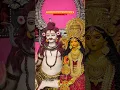 Lagu Most Oldest Shiv Durga Puja in Sovabazar❤️sovabazar byabsayi samiti