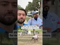 LA ranks in dog attacks on mail carriers