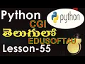 CGI common gateway interface script examples in Python using checkbox radio etc -Telugu-Lesson-55