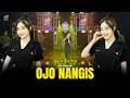 Download Lagu DIN ANNESIA - OJO NANGIS | Feat. OM SERA ( Official Music Video )